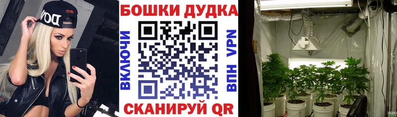 Купить закладку COCAIN  Псилоцибиновые грибы  APVP  Канабис  Героин  ГАШИШ  МЕФ  Амфетамин  Зарайск