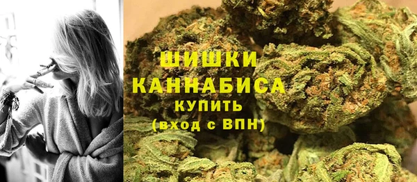 тгк Гусь-Хрустальный