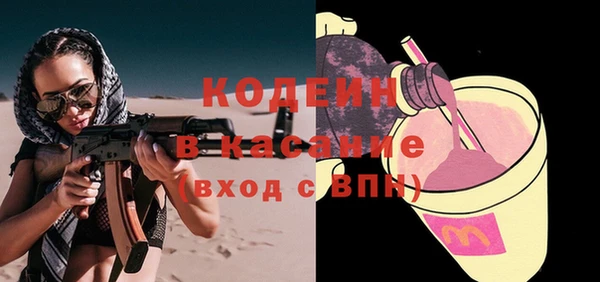 таблы Гусев