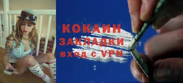 таблы Гусев