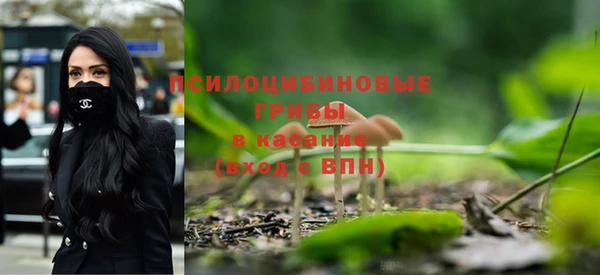 таблы Гусев