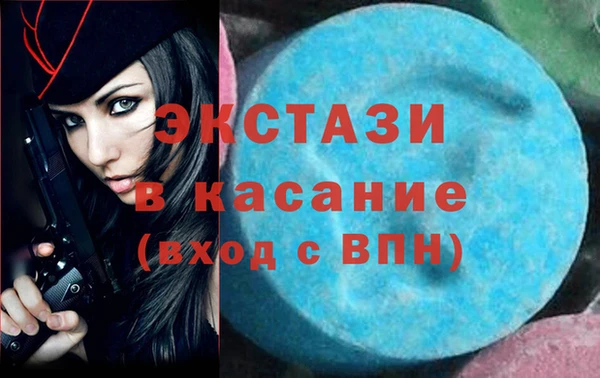 таблы Гусев